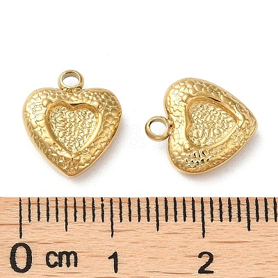 304 Stainless Steel Charms STAS-Q252-05G-1