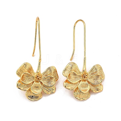 Brass Dangle Earrings EJEW-Z117-02G-1