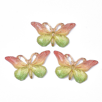 Transparent Acrylic Pendants TACR-R140-08H-1