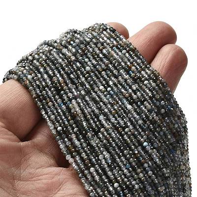 Natural Apatite Beads Strands G-RM2025-A23-2mm-1