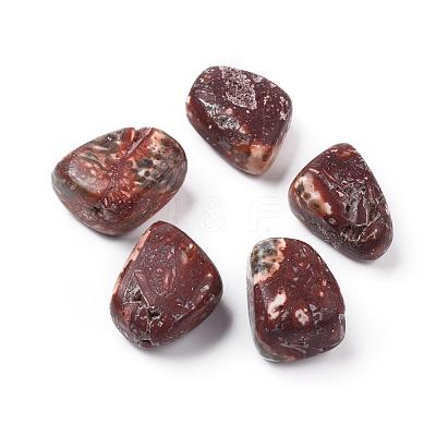 5Pcs Natural Leopardskin Beads G-FS0001-99-1