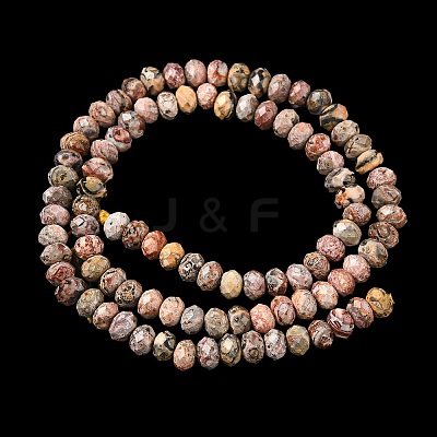 Natural Leopard Skin Jasper Beads Strands G-D344-A24-1