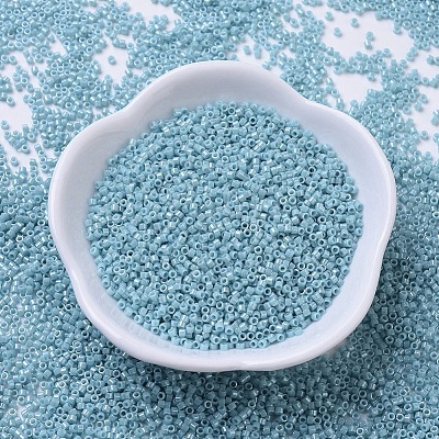 MIYUKI Delica Beads X-SEED-J020-DB0217-1