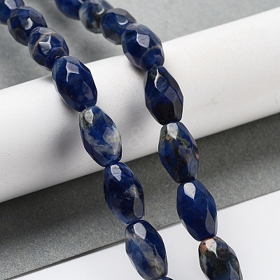 Natural Sodalite Beads Strands G-P520-C07-01-1