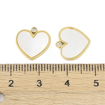 Natural Shell Charms STAS-P366-22B-G-1