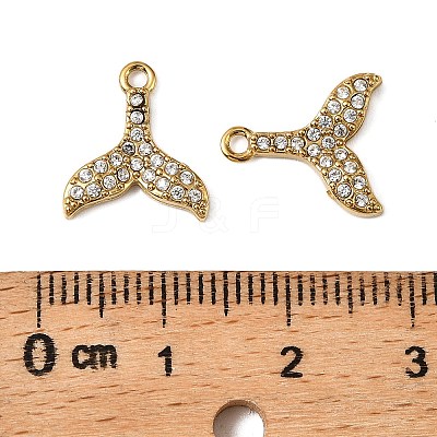 304 Stainless Steel Charms X-STAS-F321-01G-06-1