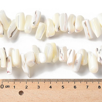 Dyed Natural Trochus Shell Beads Strands SSHEL-C013-09J-1