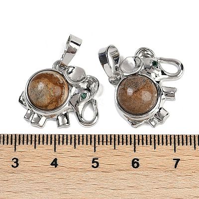 Natural Picture Jasper Pendants G-I374-A-P19-1