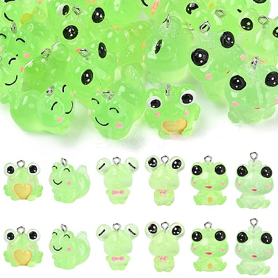 24Pcs 6 Styles Luminous Frog Resin Pendants RESI-YW0006-19-1