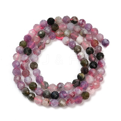 Natural Multicolor Tourmaline Beads Strands X-G-C181-B04-03-1