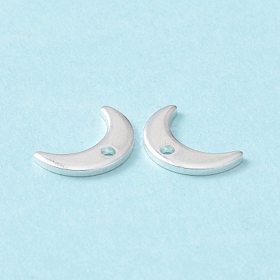 304 Stainless Steel Charms STAS-L234-073S-1