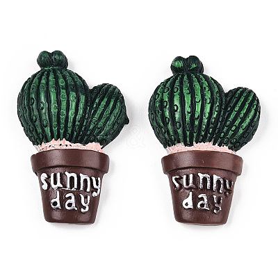 Opaque Resin Decoden Cabochons AJEW-N001-04-1