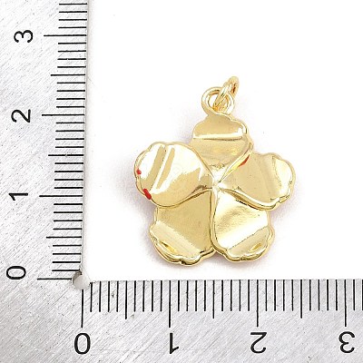 Brass Micro Pave Clear Cubic Zirconia Pendants KK-CBADB87-14B-G-1