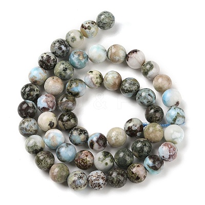 Natural Larimar Beads Strands G-P524-A02-03-1