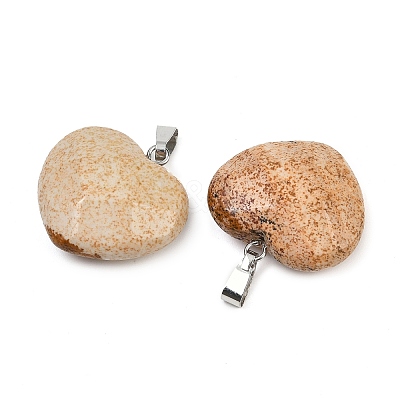 Natural Picture Jasper Pendants G-A281-02P-10-1