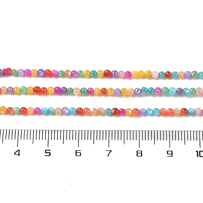 Natural Freshwater Shell Beads Strands SHEL-P017-02-1