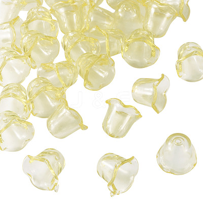 30Pcs Acrylic Bead Caps for Wind Chimes Making TACR-TA0001-69B-1