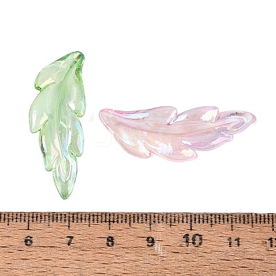 Transparent Plastic Pendants KY-Q005-01-1