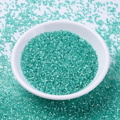MIYUKI Delica Beads SEED-J020-DB1869-1