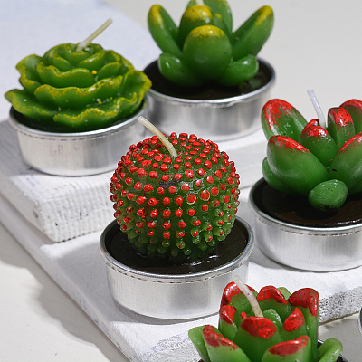 Cactus Paraffin Smokeless Candles DIY-G024-F-1