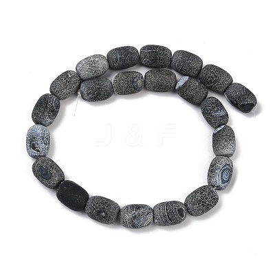 Natural Weathered Agate Beads Strands G-NH0047-B09-02-1
