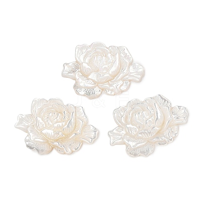 Natural White Shell Carved Cabochons SSHEL-I026-15-1