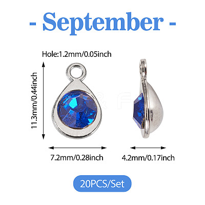 20Pcs Faceted Glass Charms RGLA-TADJ0001-01I-1