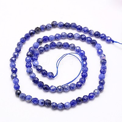 Natural Sodalite Beads Strands X-G-G545-16-1