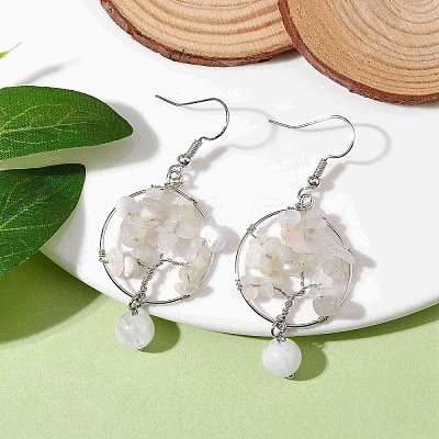 Natural Gemstone Dangle Earrings EJEW-JE05747-1