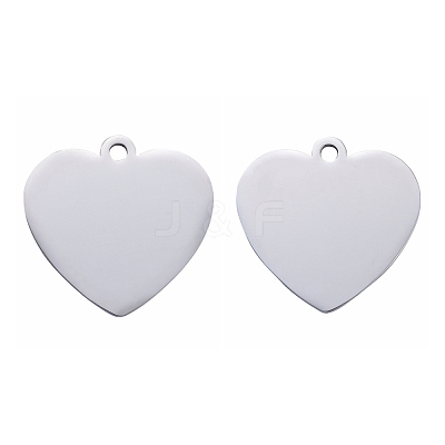 Tarnish Resistant 304 Stainless Steel Pendants STAS-I140-10B-S-1