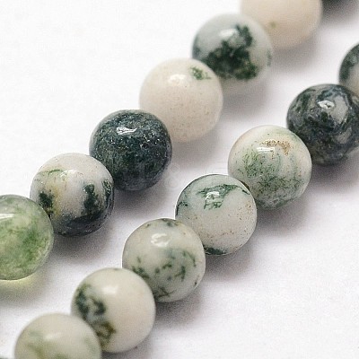 Natural Tree Agate Beads Strands G-N0192-01-3mm-1