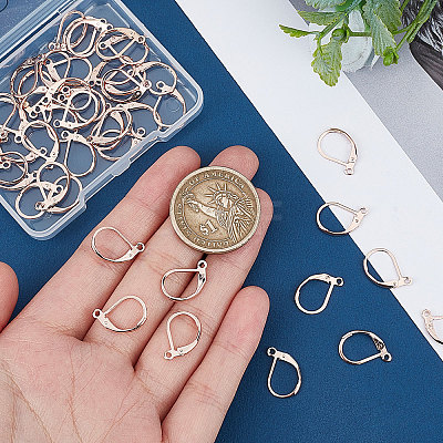 50Pcs 304 Stainless Steel Leverback Earring Findings STAS-BBC0001-44RG-1