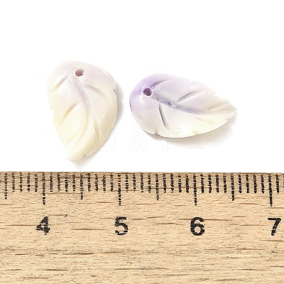 Synthetic Shell Dyed Carved Feather Charms BSHE-H111-02-1