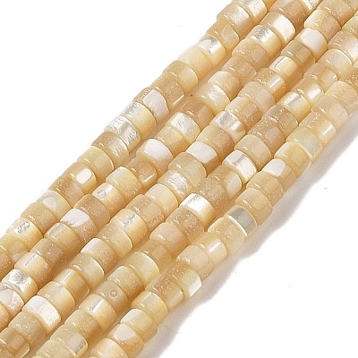 Natural Trochid Shell/Trochus Shell Beads Strands BSHE-H018-02-1
