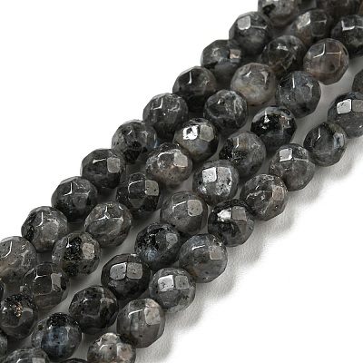 Natural Larvikite Beads Strands G-E571-A09-04-1