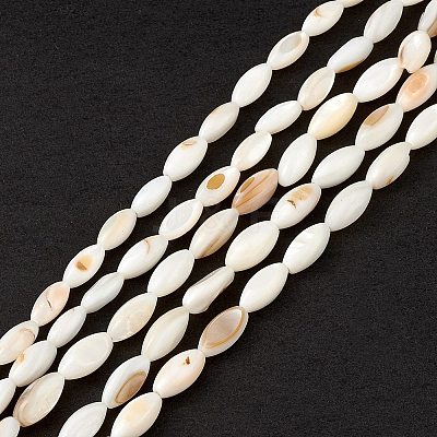 Natural Freshwater Shell Dyed Beads Strands SHEL-M018-13-13-1