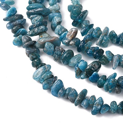 Natural Apatite Beads Strands X-G-F666-01B-02-01-1
