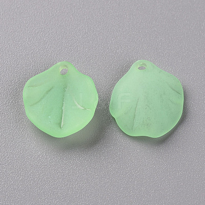 Transparent Frosted Acrylic Pendants MACR-S371-02A-733-1