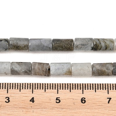 Natural Labradorite Beads Strands G-F832-B10-01-1