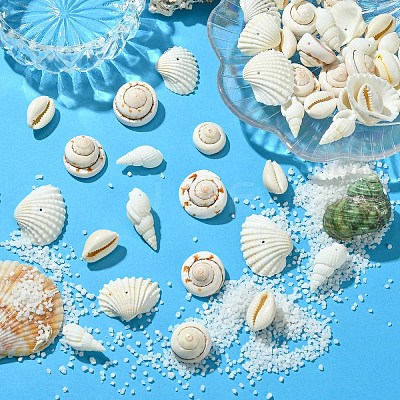 48Pcs 4 Styles Natural Shell Beads BSHE-YW0001-06-1