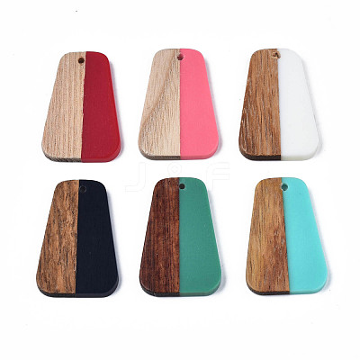 Resin & Wood Pendants RESI-N025-021-1