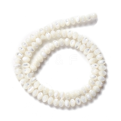 Natural Trochid Shell/Trochus Shell Beads Strands SSHEL-O001-24A-02-1