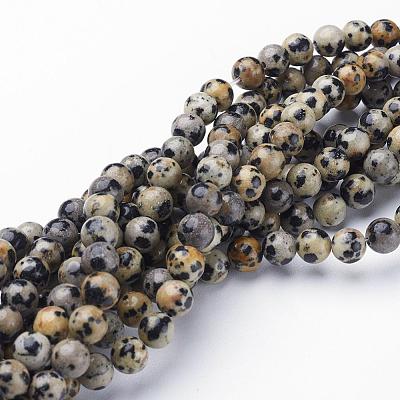 Natural Dalmatian Jasper Beads Strands X-GSR6mmC004-1