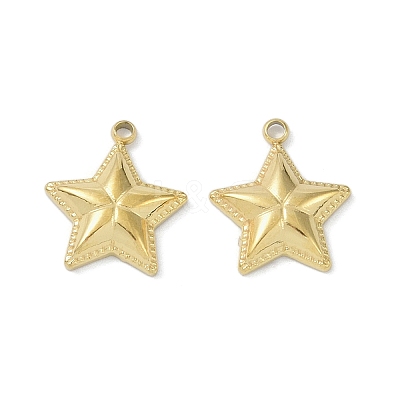 Ion Plating(IP) 304 Stainless Steel Pendants STAS-R233-09G-1