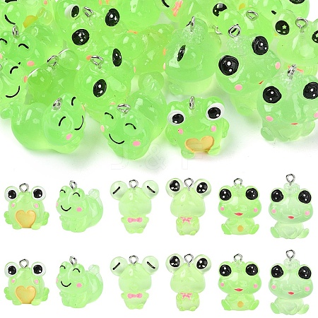 24Pcs 6 Styles Luminous Frog Resin Pendants RESI-YW0006-19-1