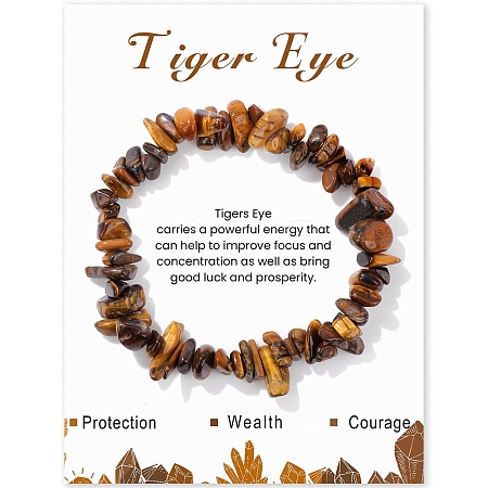 Natural Tiger Eye Chips Beaded Stretch Bracelets PW-WG309C1-05-1