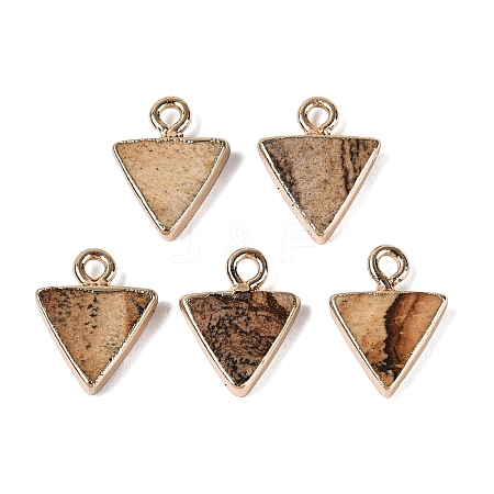 Natural Picture Jasper Pendants G-Q606-103G-04-1