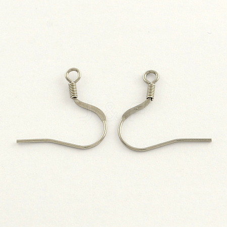 304 Stainless Steel French Earring Hooks STAS-R063-31-1