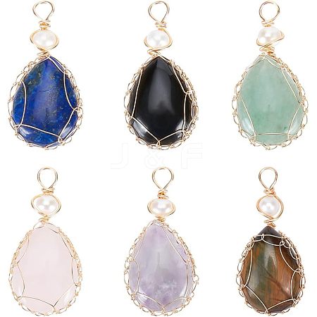  6Pcs 6 Styles Natural Gemstone Copper Wire Wrapped Pendants G-NB0003-75-1