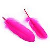 Goose Feather Costume Accessories FIND-Q044-02-2